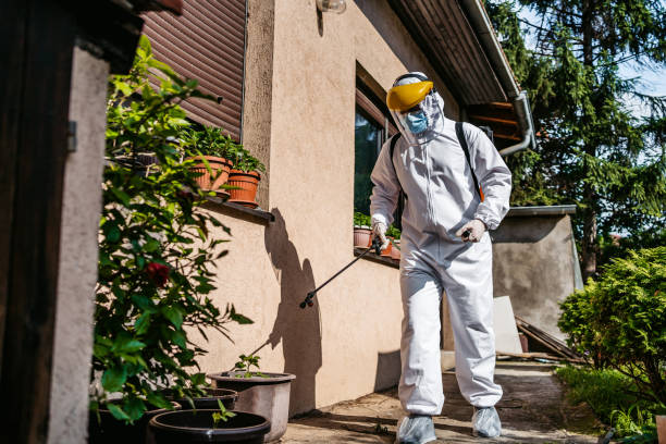 Best Emergency Pest Control  in Geronimo, OK