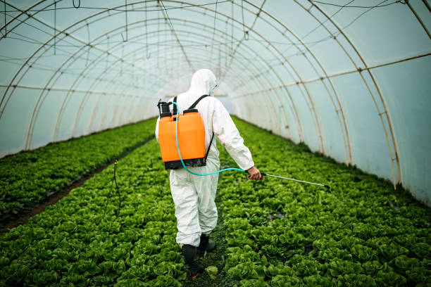 Best Local Pest Control Services  in Geronimo, OK