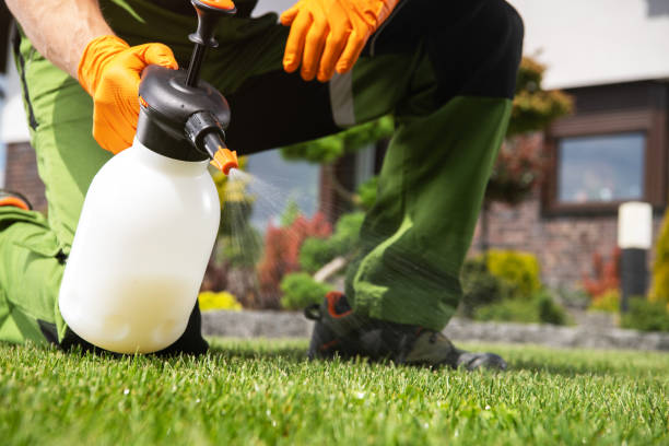Best Termite Control Services  in Geronimo, OK