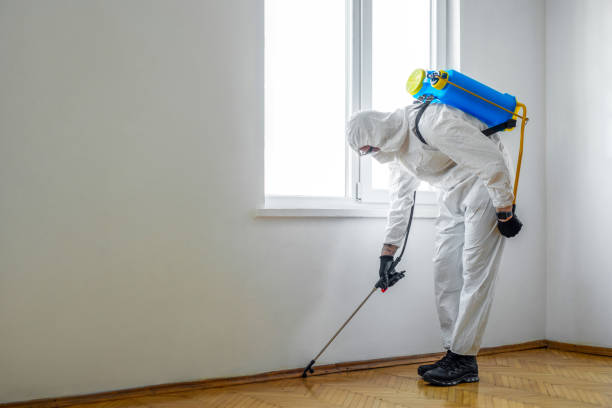 Best Flea Control Services  in Geronimo, OK