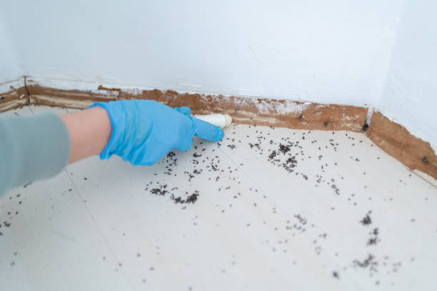 Best Pest Control for Restaurants  in Geronimo, OK